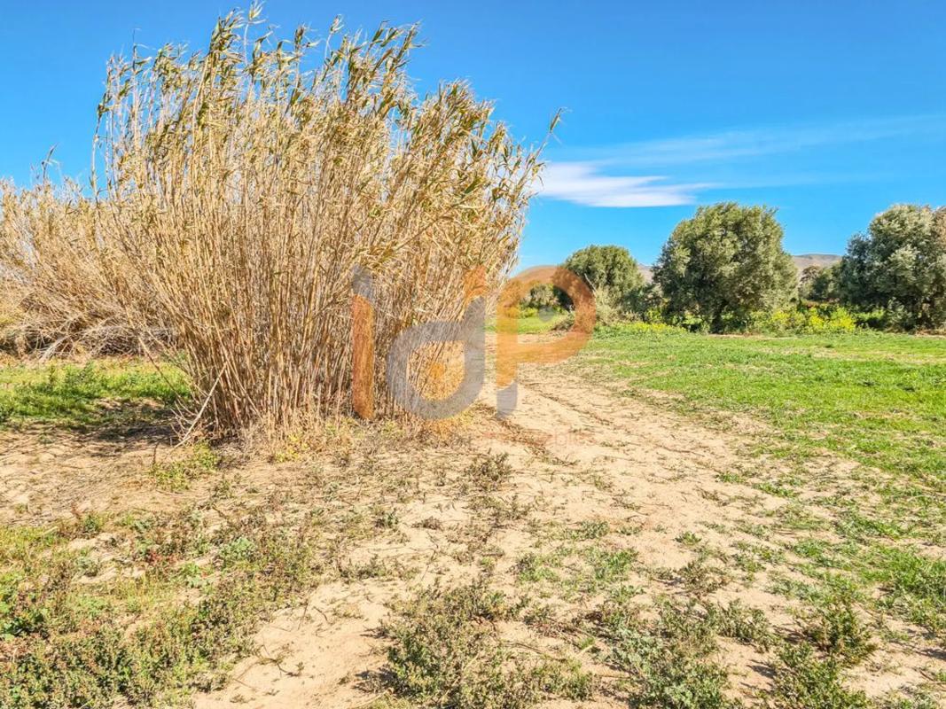 Terreno en venta en Pulpi, Almería photo 5