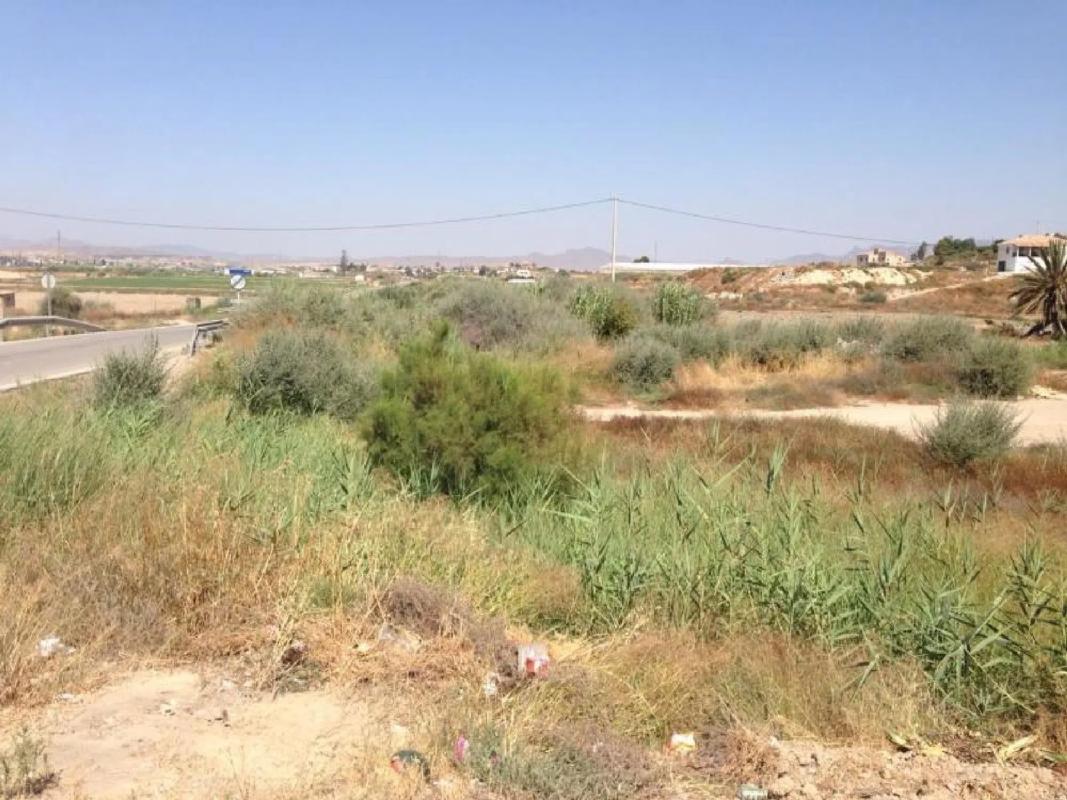 Terreno en venta en Cuevas del Almanzora, Almería photo 2