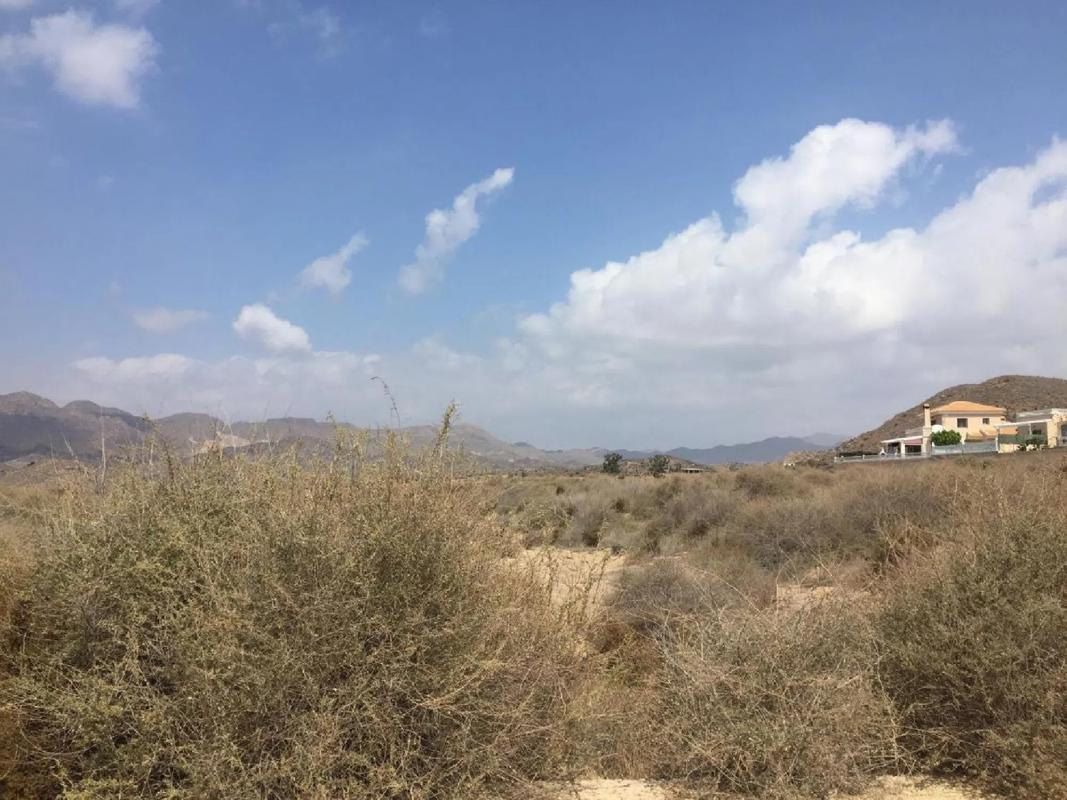 Terreno en venta en San Juan de los Terreros, Almería photo 4