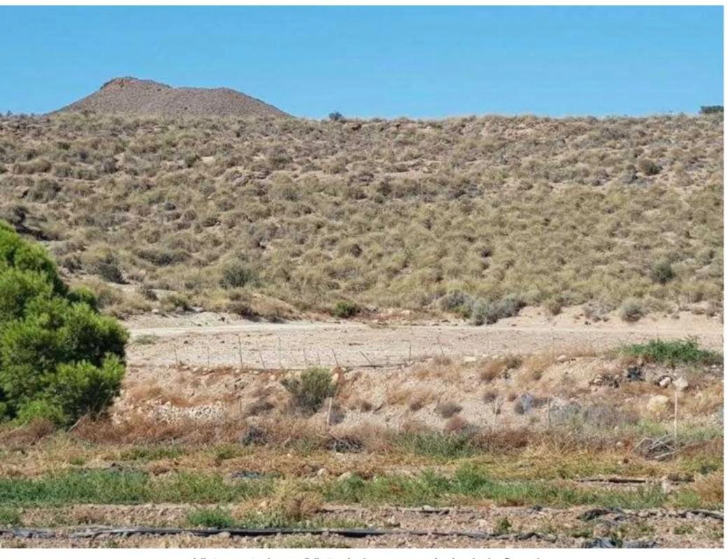 Terreno en venta en Cuevas del Almanzora, Almería photo 4
