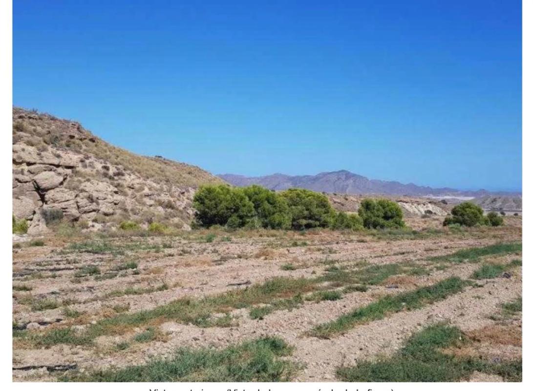 Terreno en venta en Cuevas del Almanzora, Almería photo 5