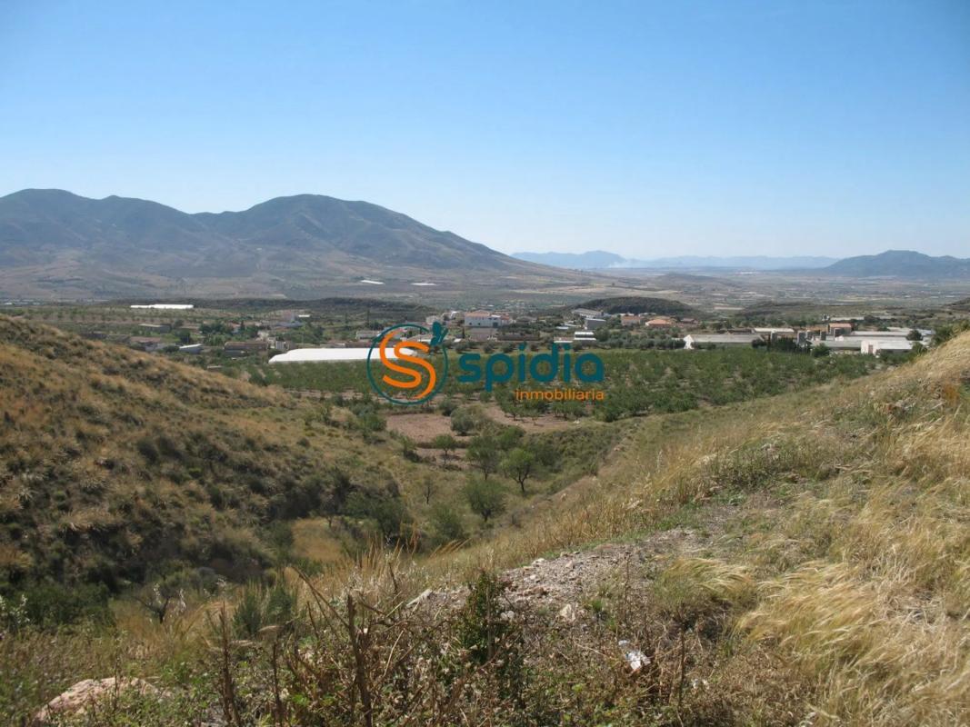 Land for sale in Huércal-Overa, Almería photo 1