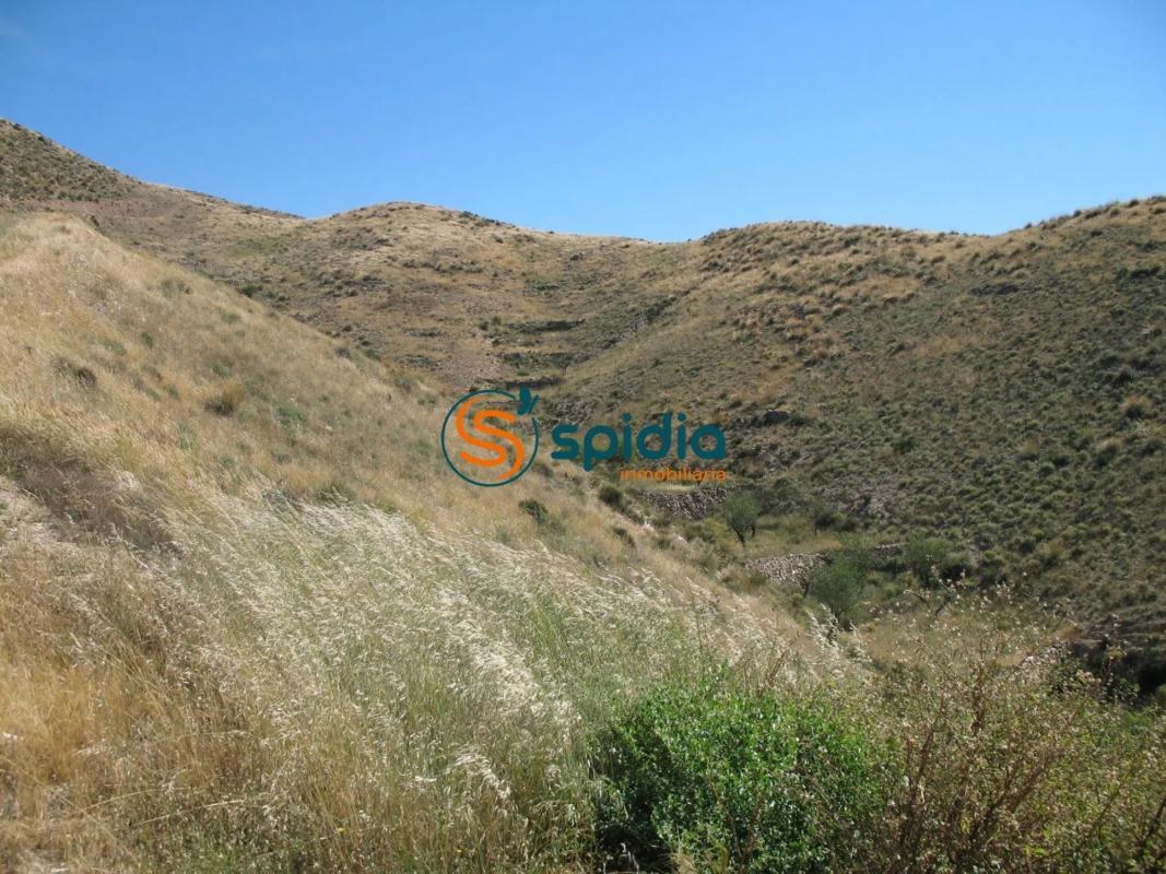 Land for sale in Huércal-Overa, Almería photo 2