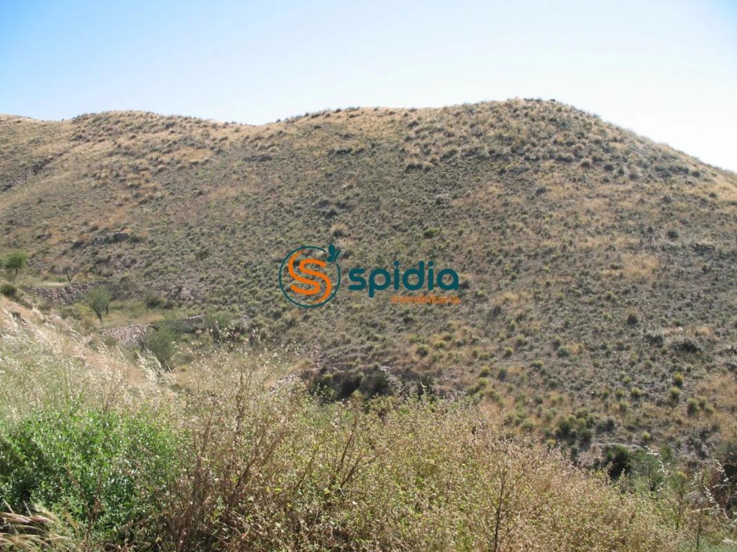 Land for sale in Huércal-Overa, Almería photo 3