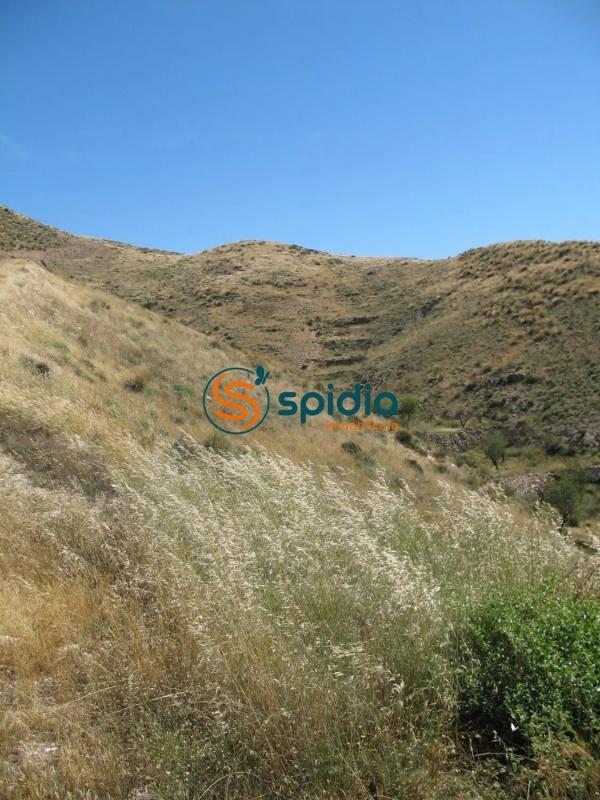 Land for sale in Huércal-Overa, Almería photo 4