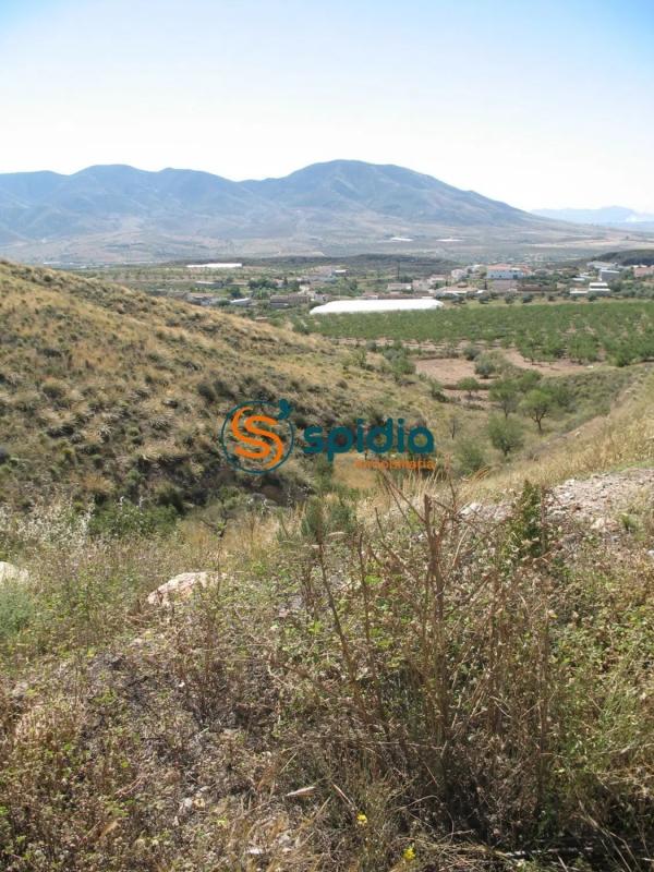 Land for sale in Huércal-Overa, Almería photo 5