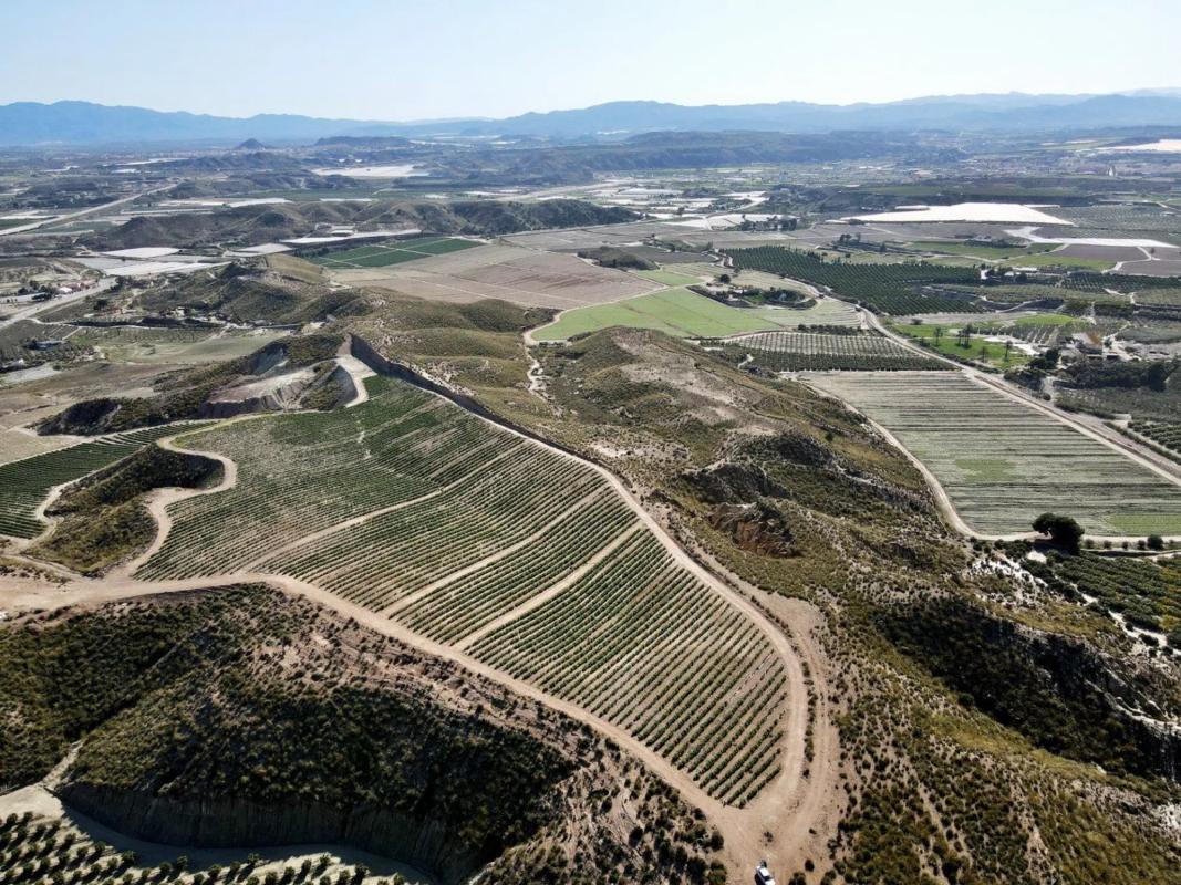 Terreno en venta en Cuevas del Almanzora, Almería photo 1