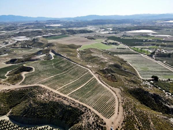 Terreno en A-332 photo 1