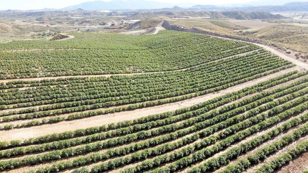 Terreno en venta en Cuevas del Almanzora, Almería photo 2