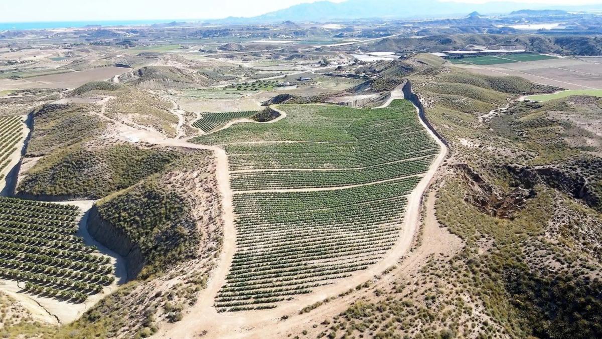 Terreno en venta en Cuevas del Almanzora, Almería photo 4