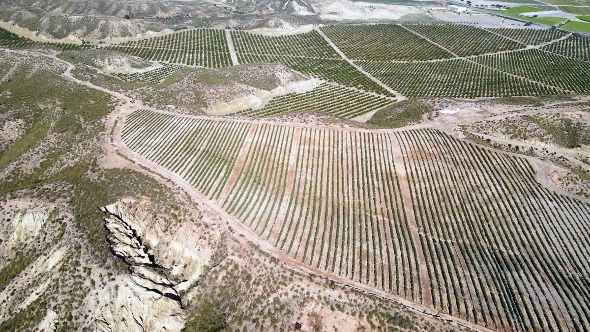 Terreno en venta en Cuevas del Almanzora, Almería photo 5