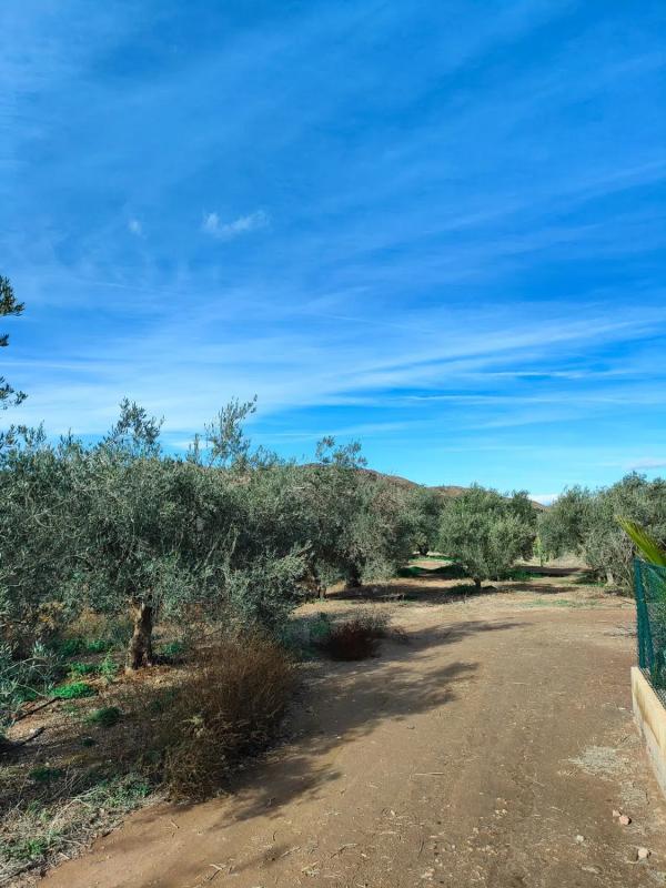Terreno en venta en Cuevas del Almanzora, Almería photo 1