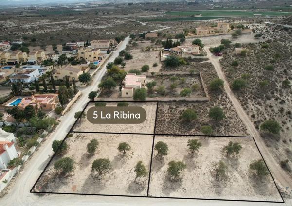 Terreno en Las Cunas - La Algarrobina photo 3