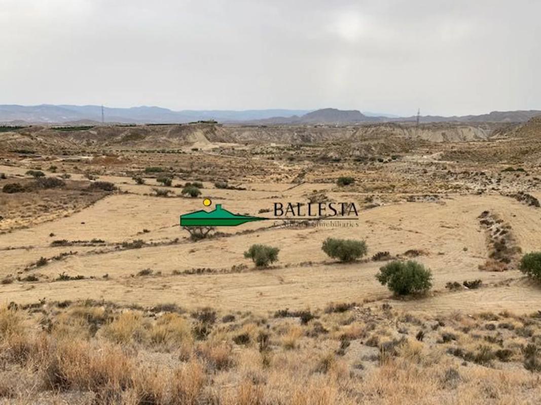 Land for sale in Huércal-Overa, Almería photo 1