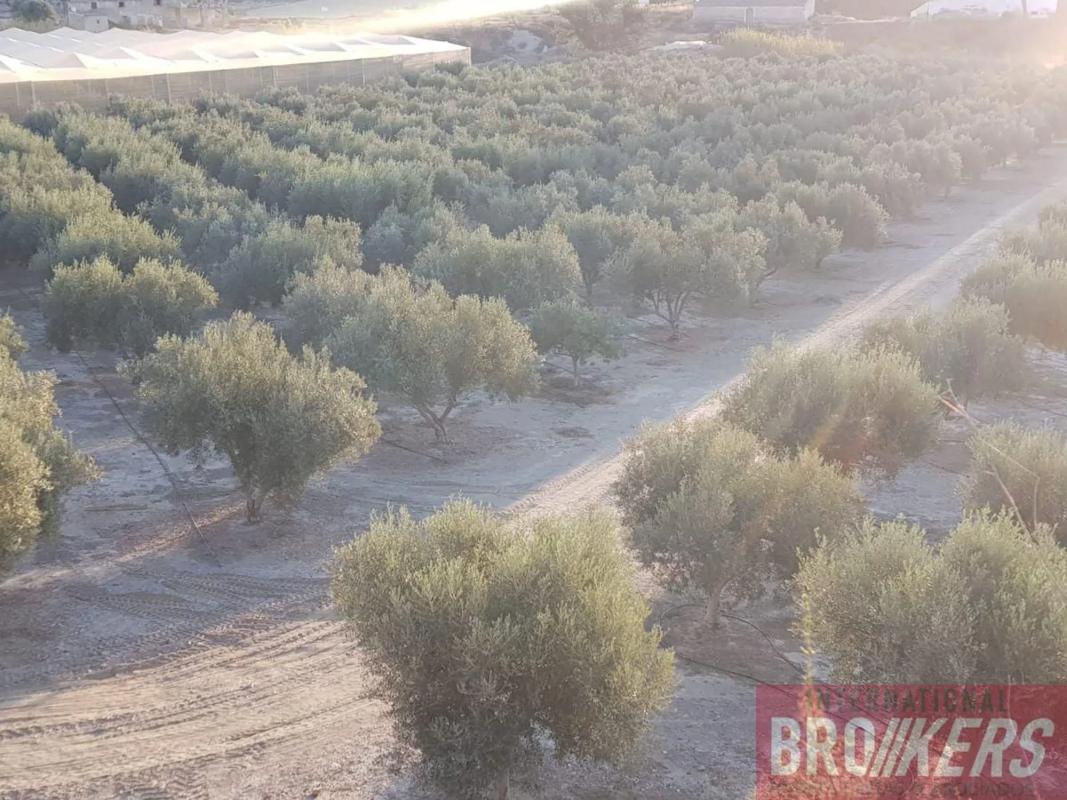 Terreno en venta en Cuevas del Almanzora, Almería photo 3