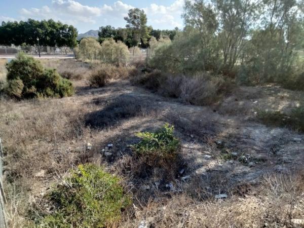 Terreno en Cuevas del Almanzora photo 1