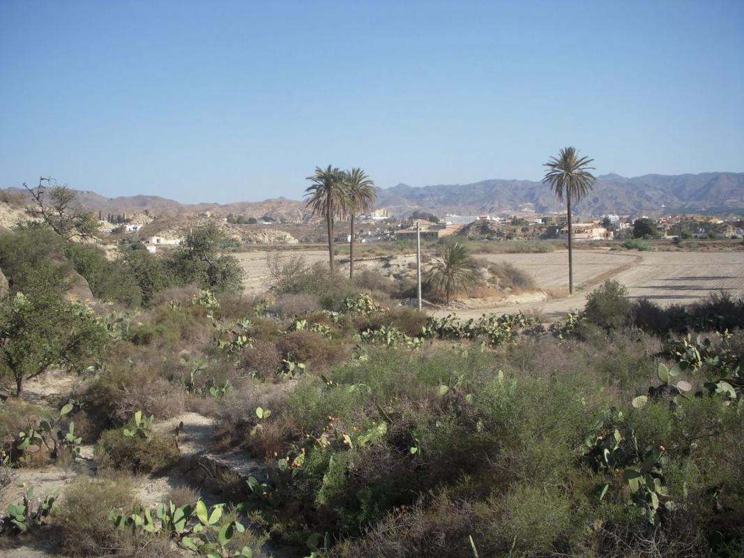 Terreno en venta en Cuevas del Almanzora, Almería photo 1