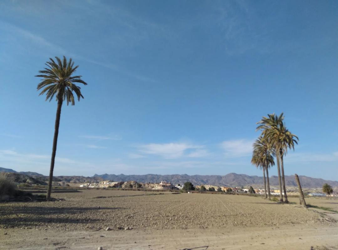 Terreno en venta en Cuevas del Almanzora, Almería photo 4