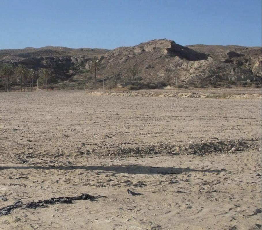 Terreno en venta en Cuevas del Almanzora, Almería photo 5
