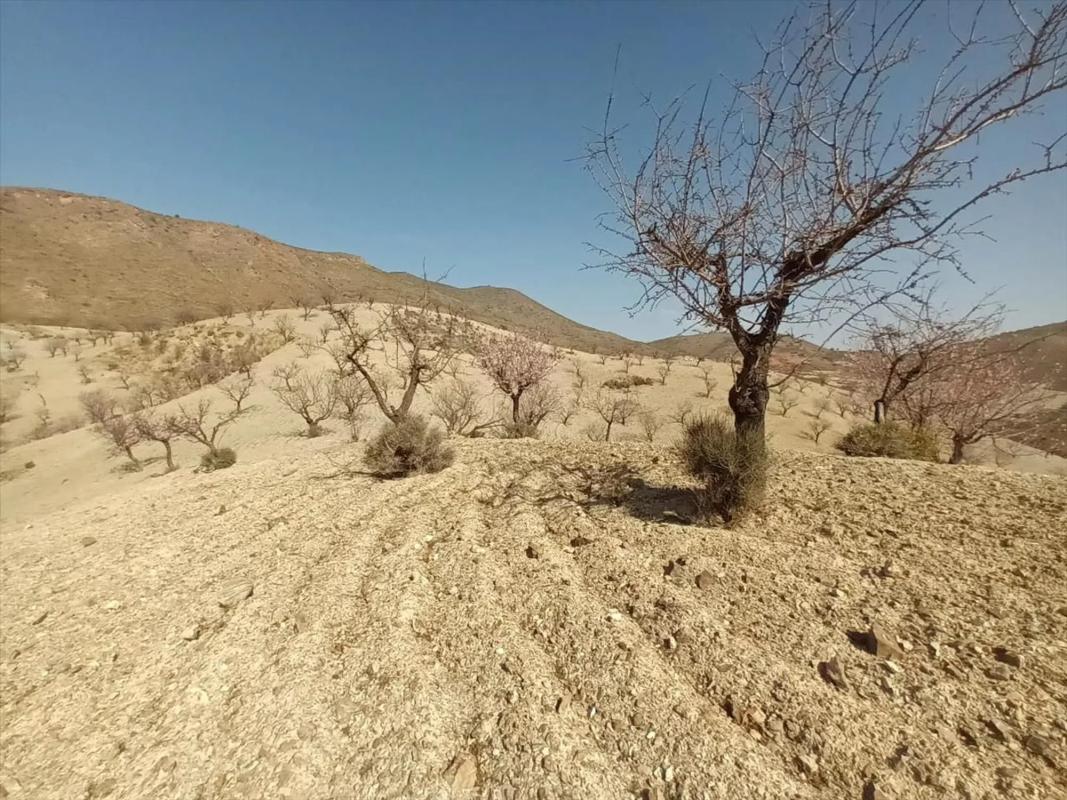 Land for sale in Huércal-Overa, Almería photo 1