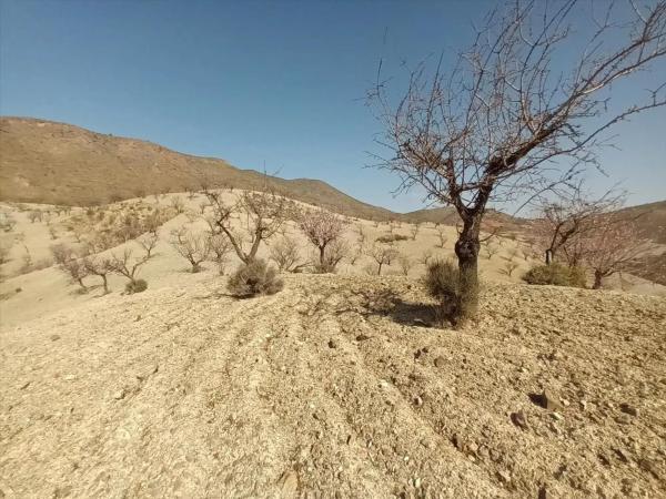 Terreno en Huércal-Overa photo 1