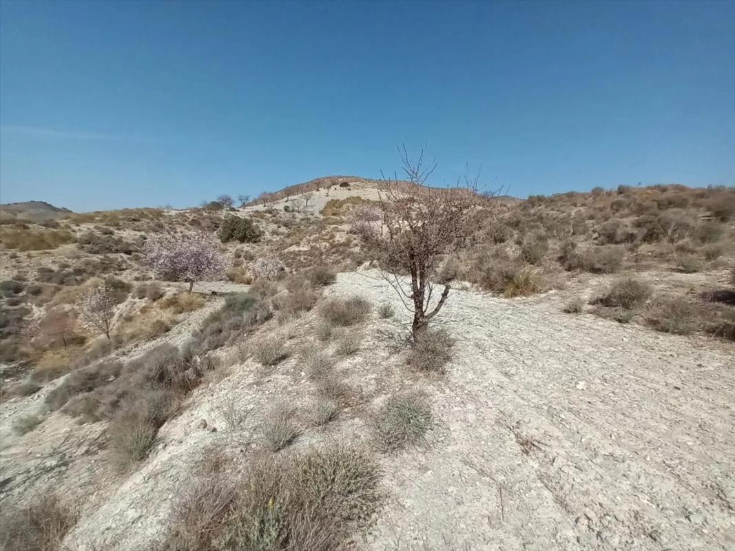 Land for sale in Huércal-Overa, Almería photo 2