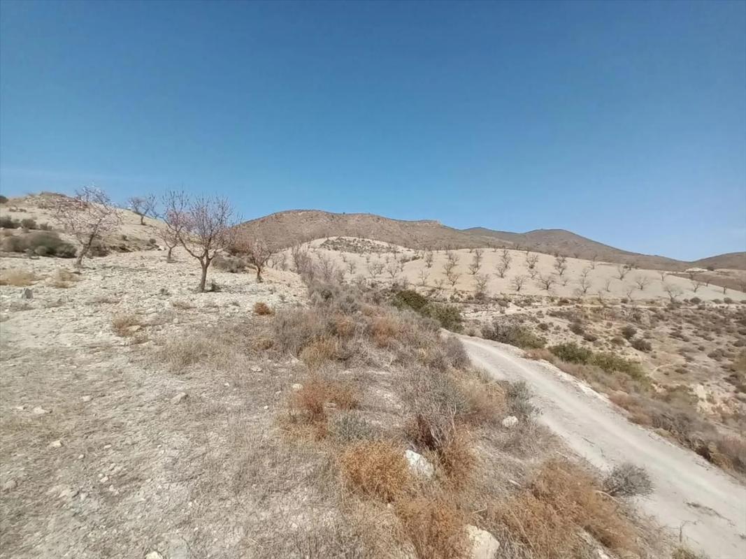 Land for sale in Huércal-Overa, Almería photo 3