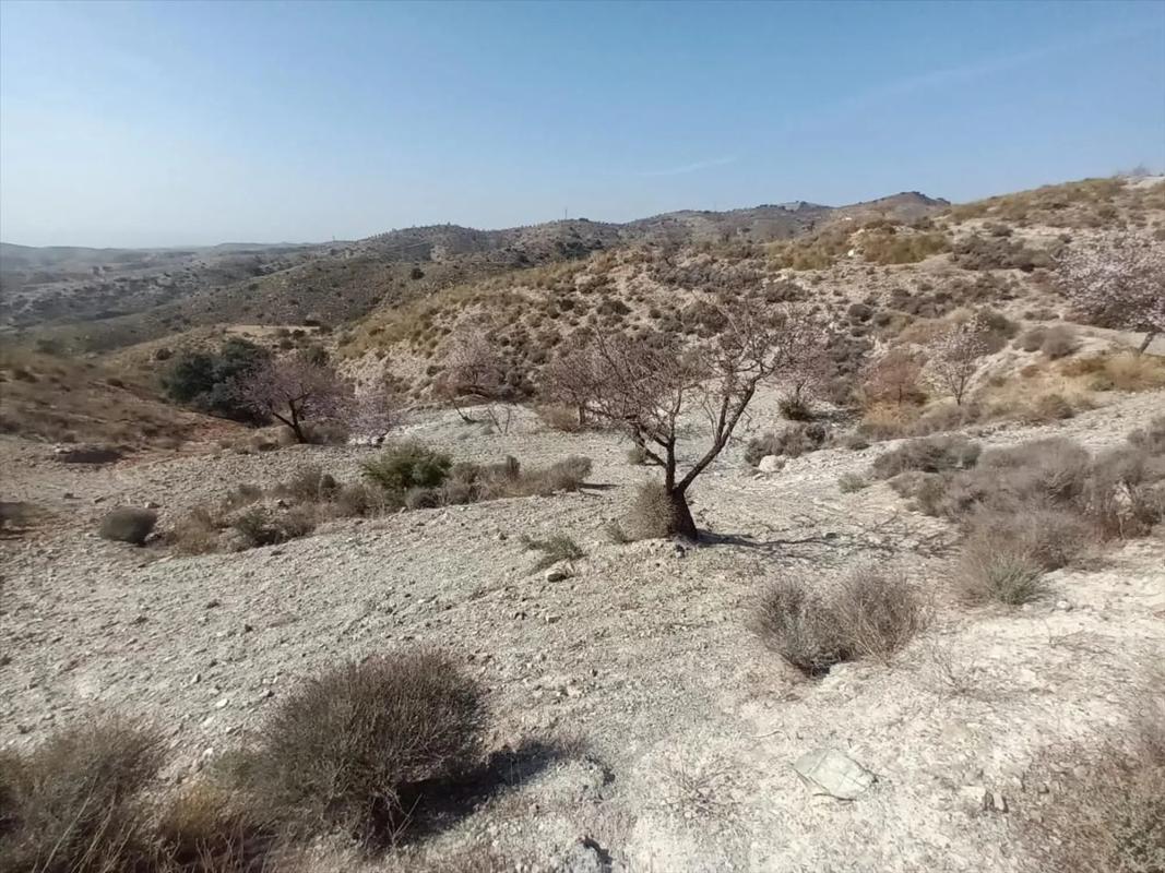 Land for sale in Huércal-Overa, Almería photo 4
