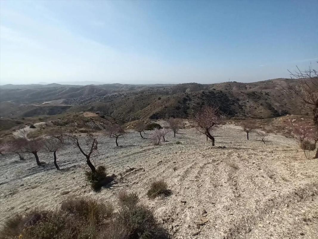 Land for sale in Huércal-Overa, Almería photo 5
