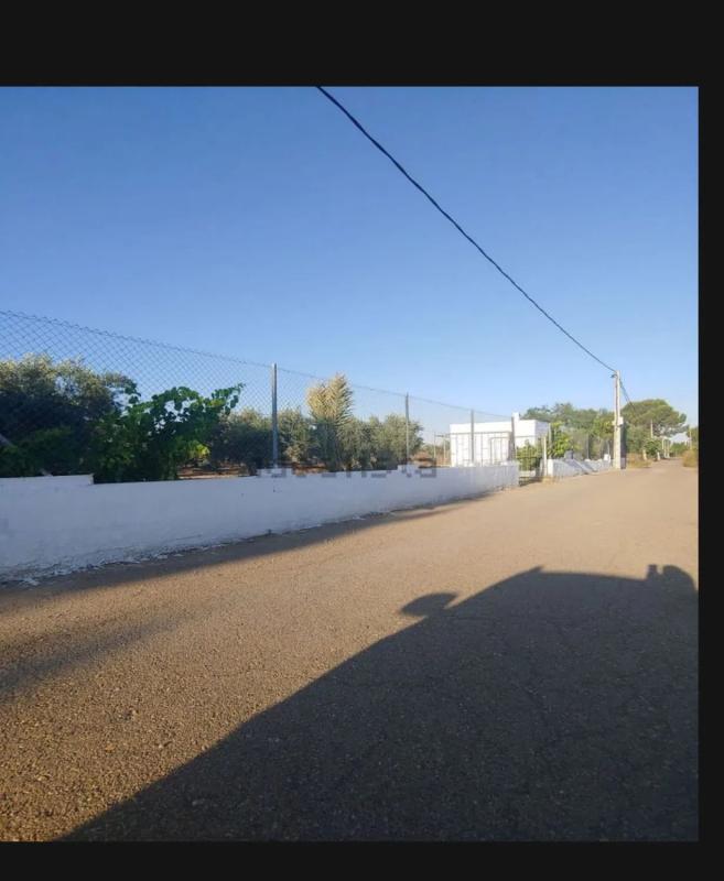 Terreno en venta en Tabernas, Almería photo 4