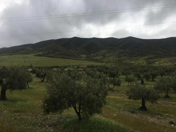 Terreno en Vía photo 1