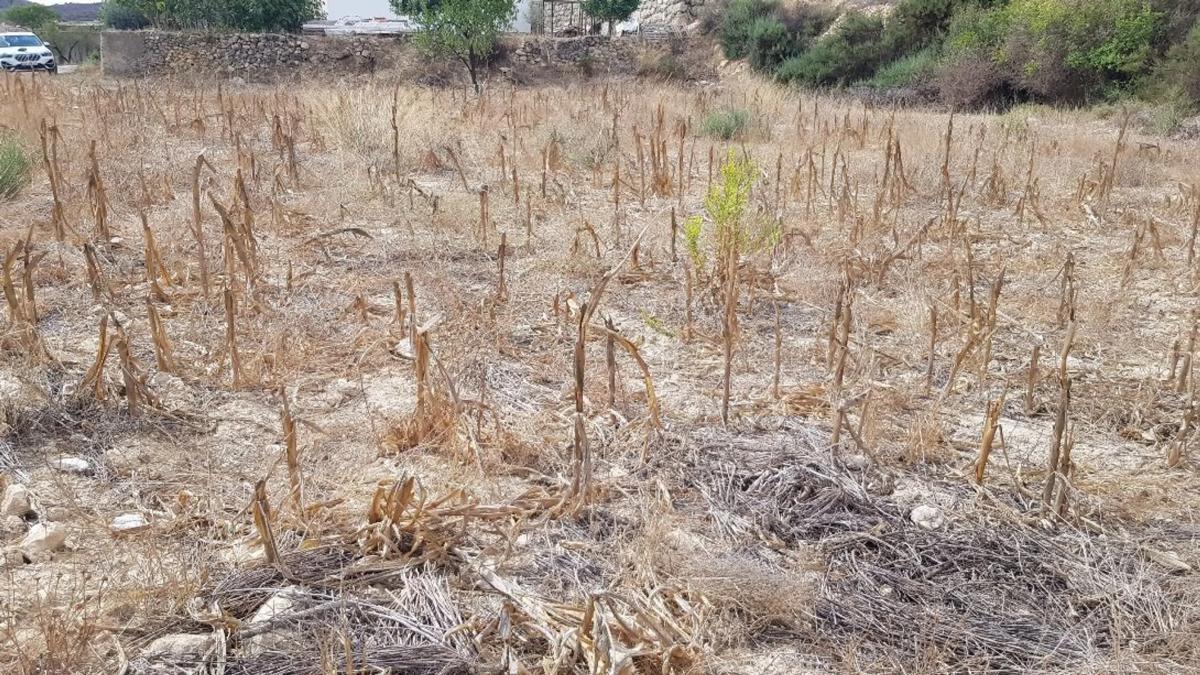 Terreno en venta en Sorbas, Almería photo 2