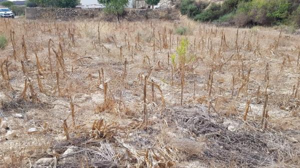 Terreno en Sorbas photo 2