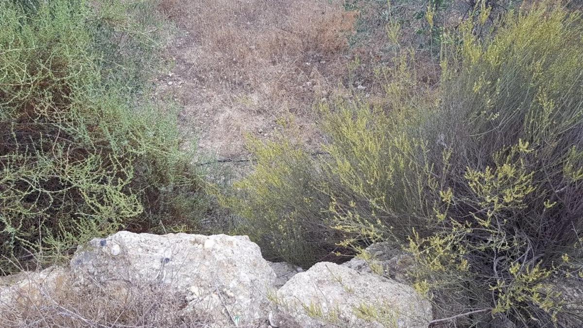Terreno en venta en Sorbas, Almería photo 4