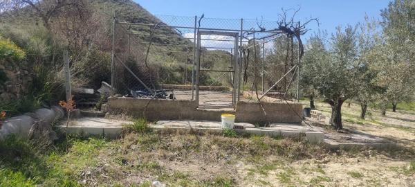 Terreno en La mela s/n photo 1