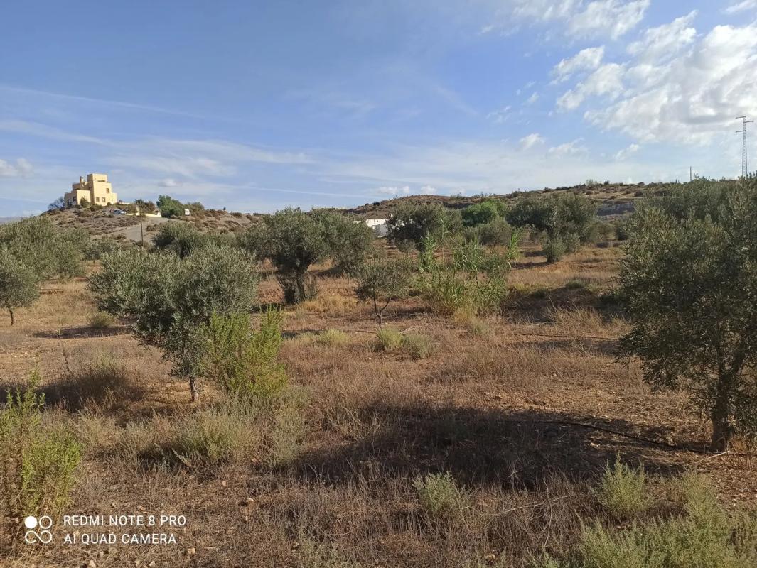 Terreno en venta en Tabernas, Almería photo 5