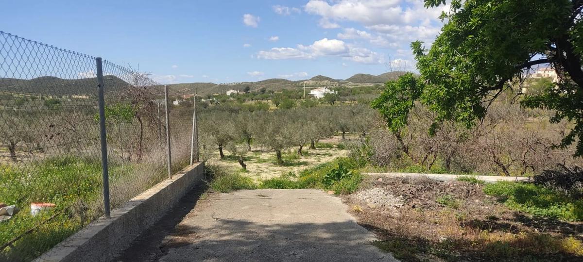 Land for sale in Sorbas, Almería photo 3
