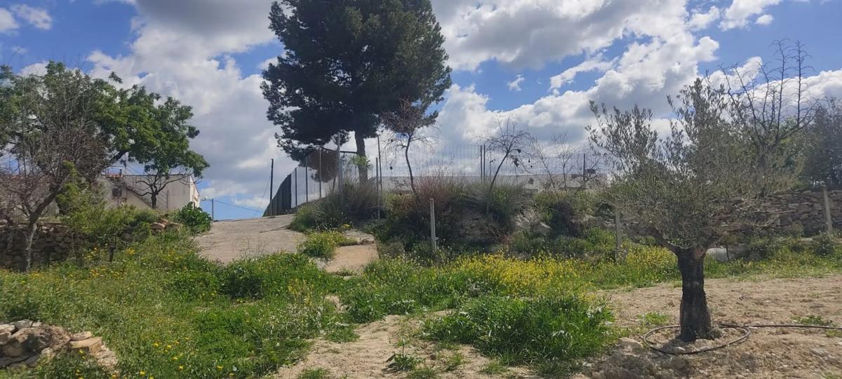 Land for sale in Sorbas, Almería photo 4