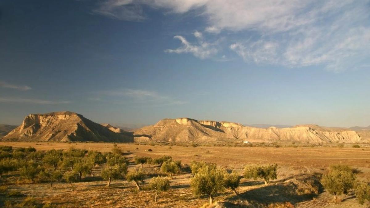 Terreno en venta en Tabernas, Almería photo 5