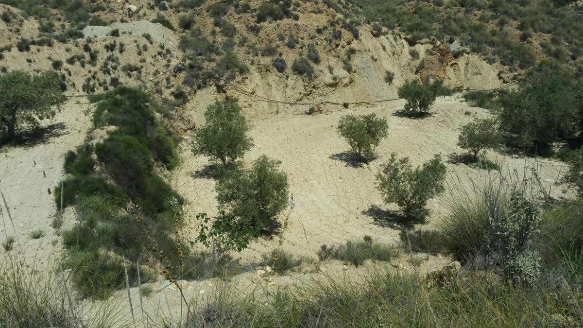 Terreno en venta en Lucainena de las Torres, Almería photo 1