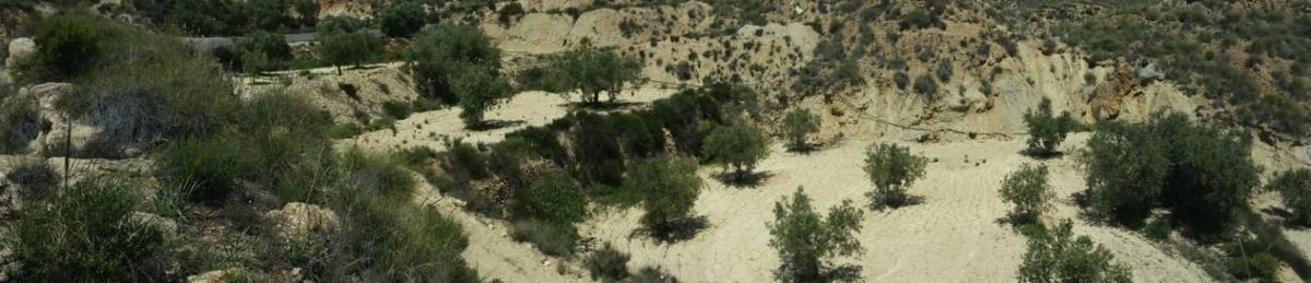 Terreno en venta en Lucainena de las Torres, Almería photo 2