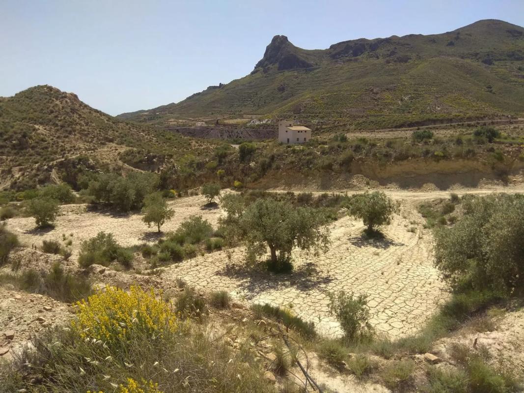 Terreno en venta en Lucainena de las Torres, Almería photo 3