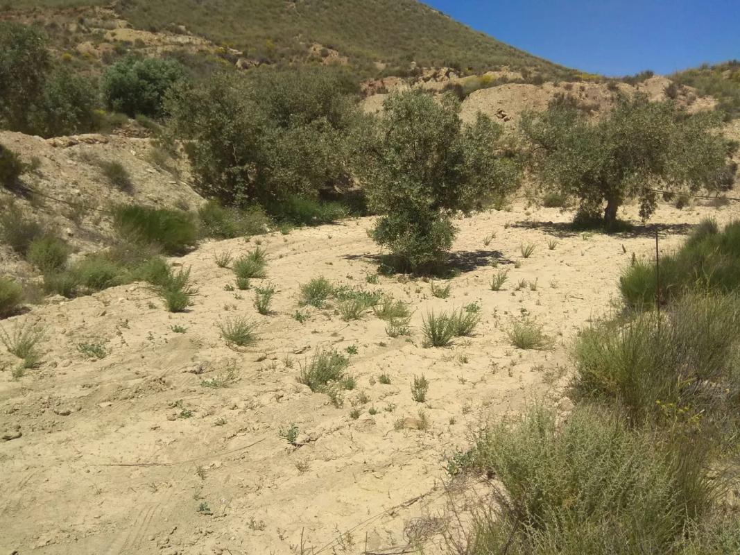 Terreno en venta en Lucainena de las Torres, Almería photo 5