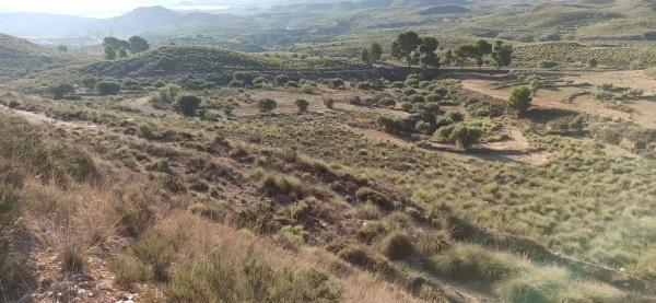 Terreno en Diseminado Barranco Lobos, 1 photo 1