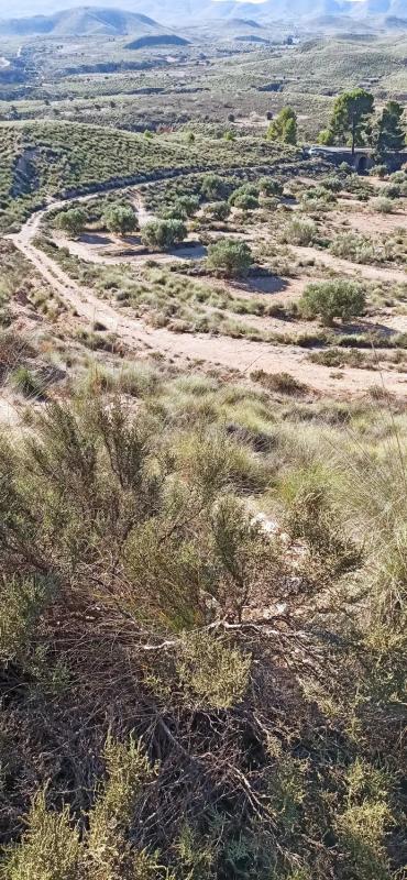 Terreno en venta en Sorbas, Almería photo 2