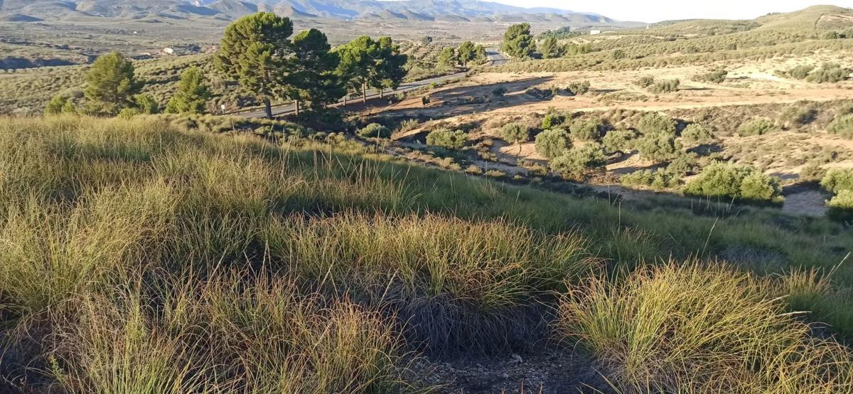 Terreno en venta en Sorbas, Almería photo 4