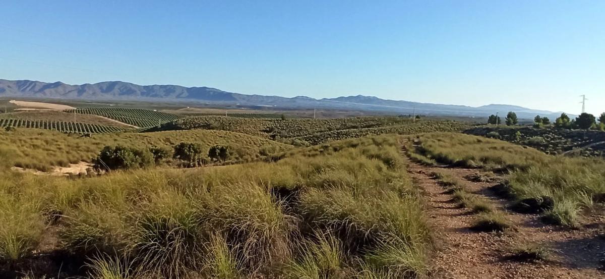 Terreno en venta en Sorbas, Almería photo 5