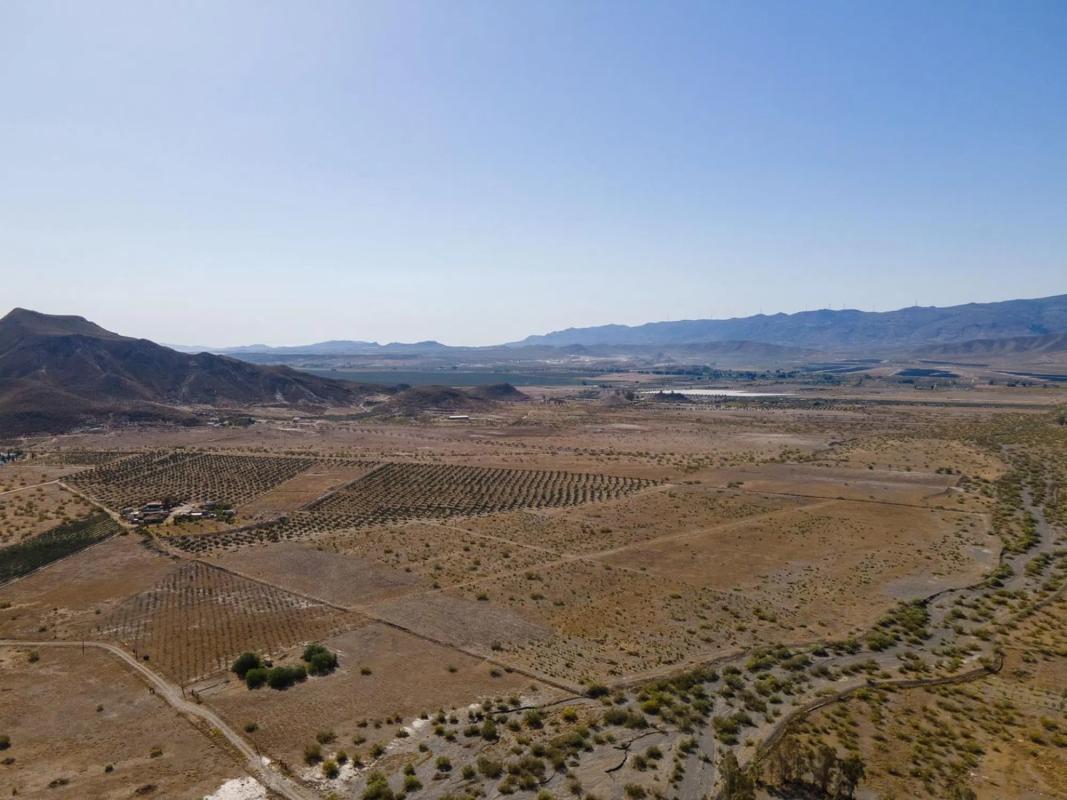 Terreno en venta en Tabernas, Almería photo 2