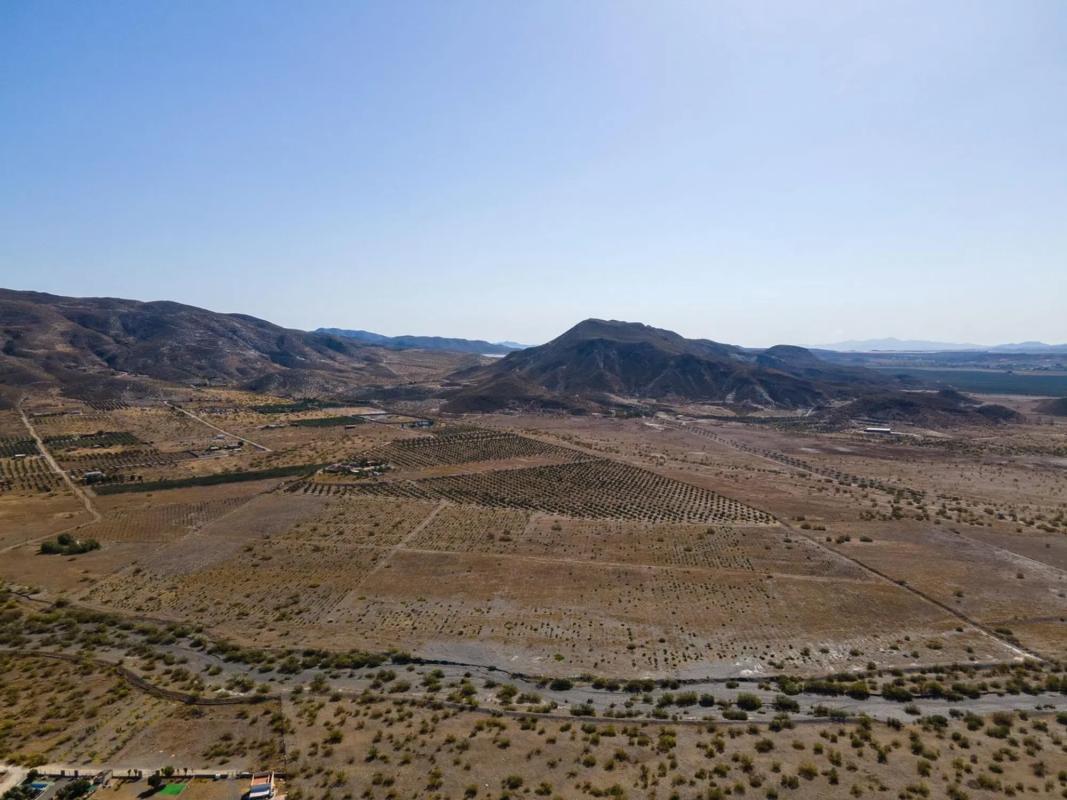 Terreno en venta en Tabernas, Almería photo 3