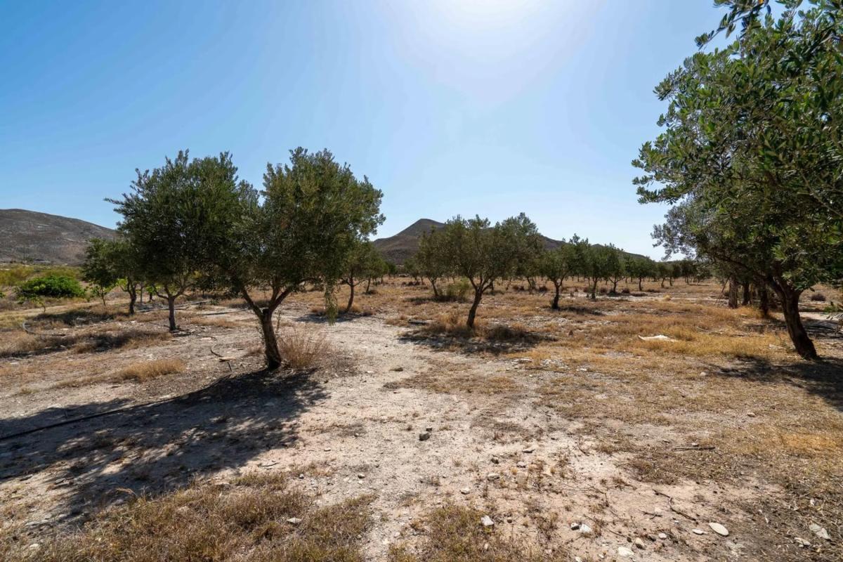 Terreno en venta en Tabernas, Almería photo 1